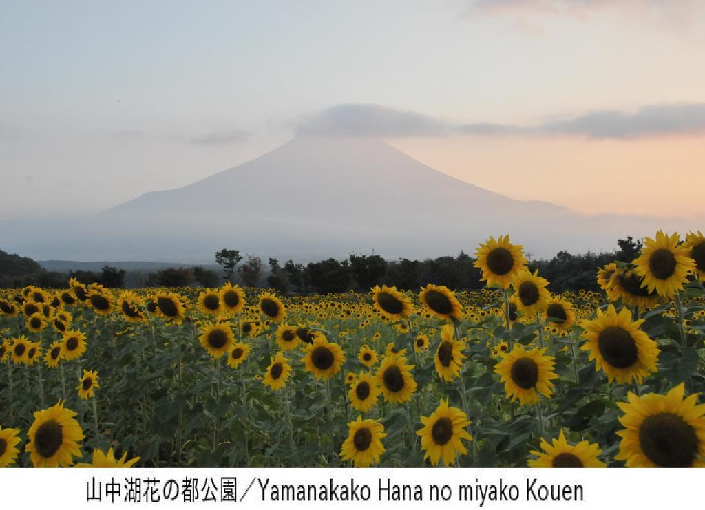 Pension Country Diary Yamanakako Exterior foto